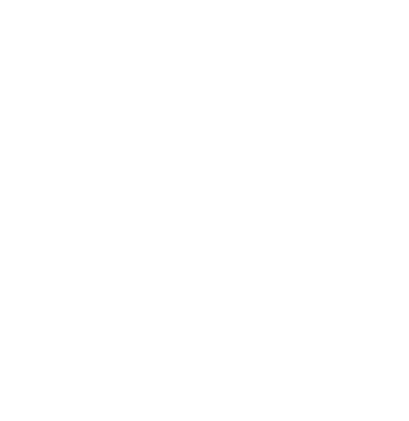 VNS Logo